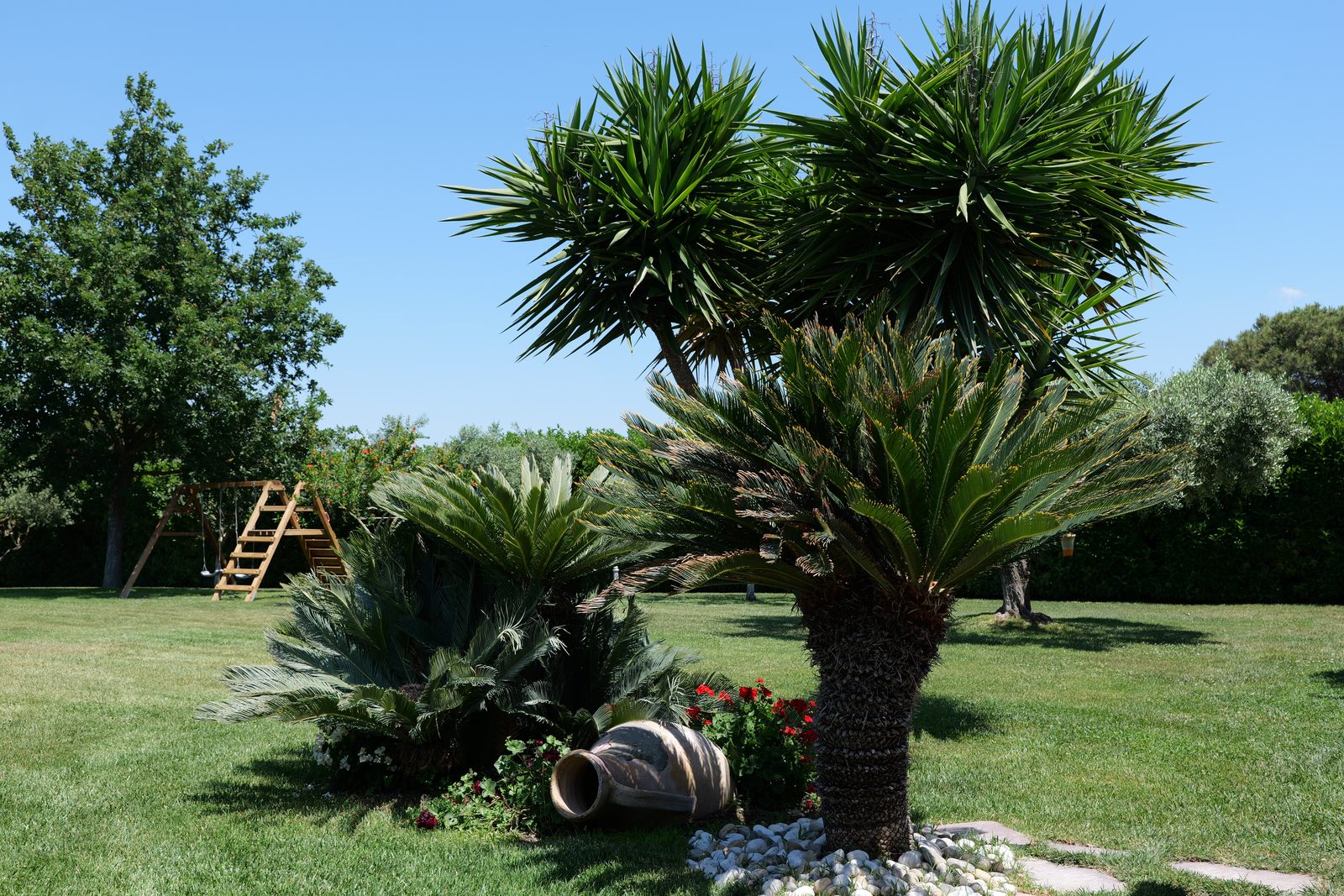 Ingresso curato della villa con palma e giardino